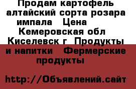 Продам картофель алтайский,сорта:розара,импала › Цена ­ 110 - Кемеровская обл., Киселевск г. Продукты и напитки » Фермерские продукты   